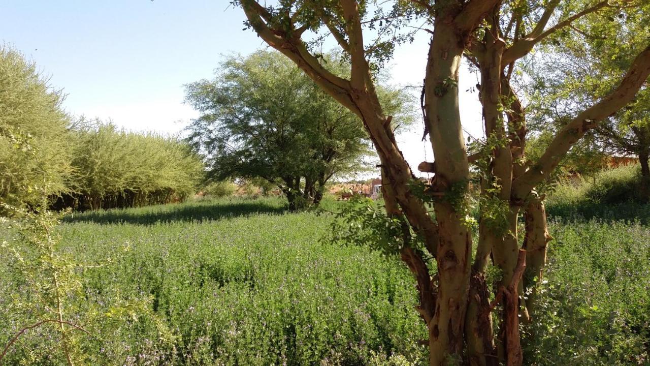 Cabanas El Chanar سان بيدرو دي أتاكاما المظهر الخارجي الصورة